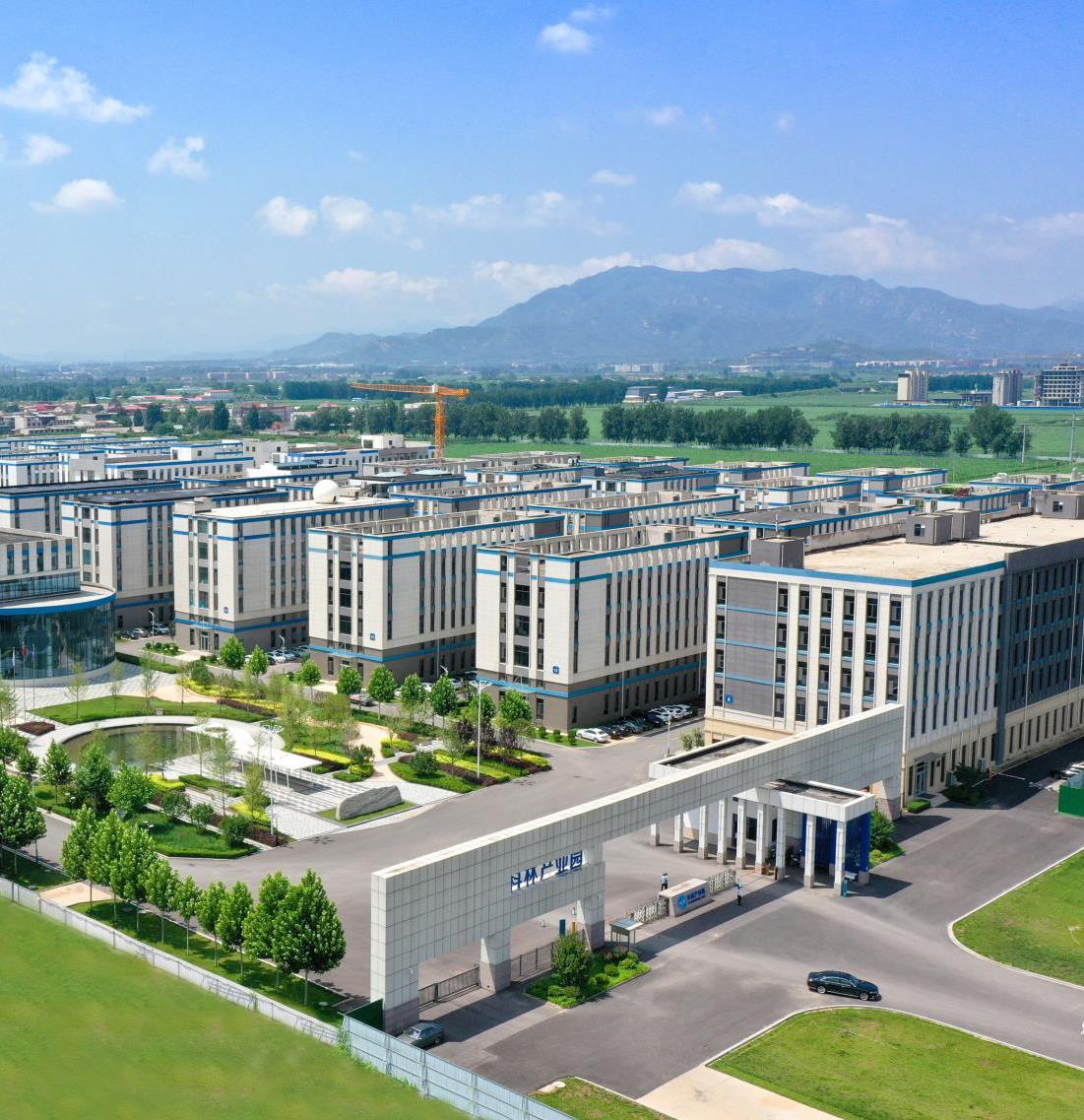 20260212120422_4277_1101x1137